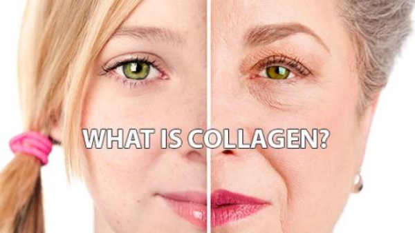Collagen là gì trong cơ thể chúng ta?
