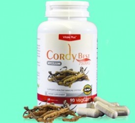 CORDY BEST H/90v