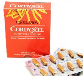 Cordyxel
