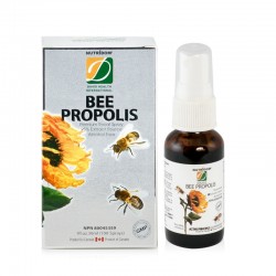 Keo ong xịt giảm ho Nutridom Premium Bee Propolis