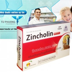 Zincholin-Bổ Não Ngừa Tai Biến
